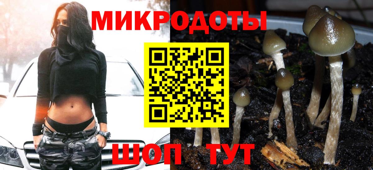 Галлюциногенные грибы прущие грибы  Псилоцибиновые грибы Magic Shrooms  Вход с VPN  Красный Сулин 